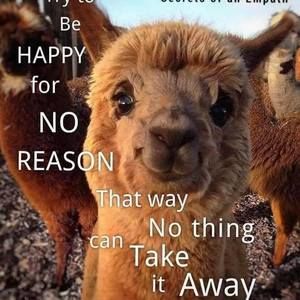 Meet your Posher, Ingrid